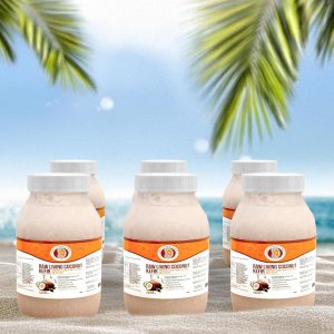 Original Raw Living Coconut Milk Kefir