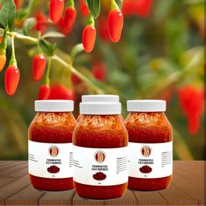 Fermented Goji Berry Probiotic