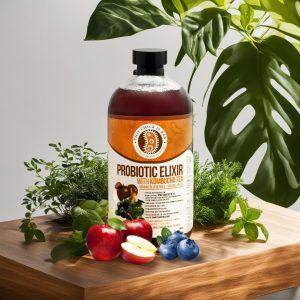Probiotic Elixir Wild Organic Blueberry w/ Kombucha Tea