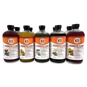 Probiotic Elixir w/ Kombucha Tea Variety Pack