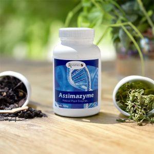 Assimazyme (natural plant enzymes, 100 capsules)