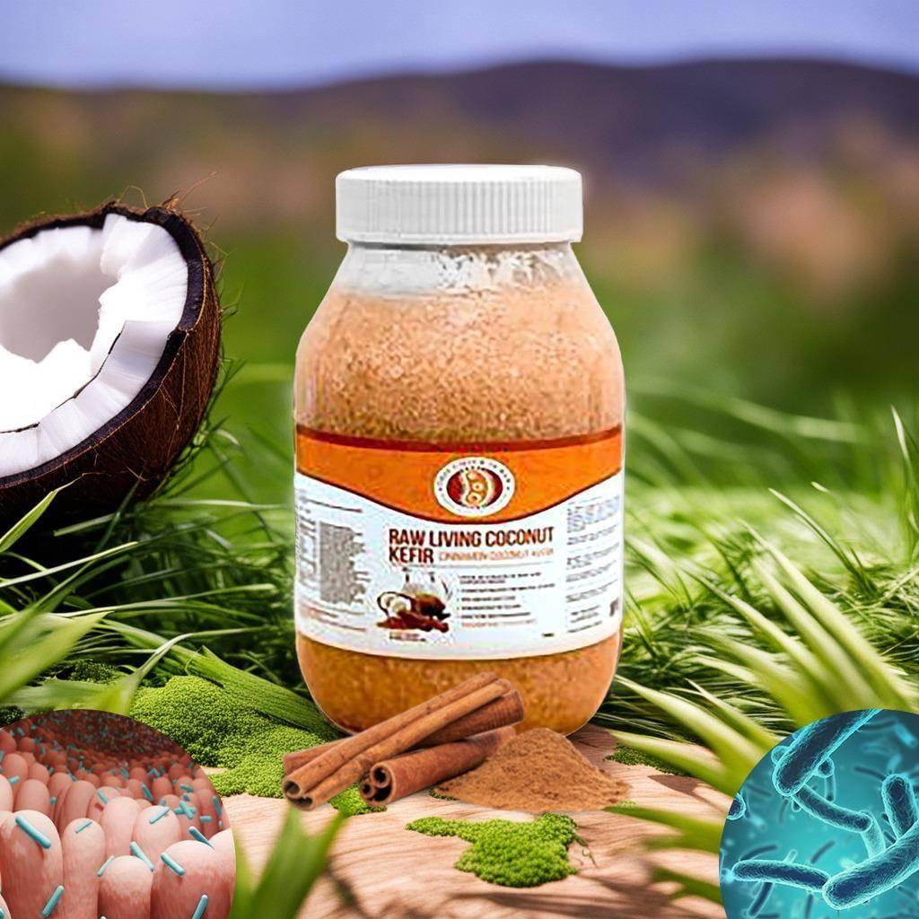 Raw Living Cinnamon Coconut Kefir