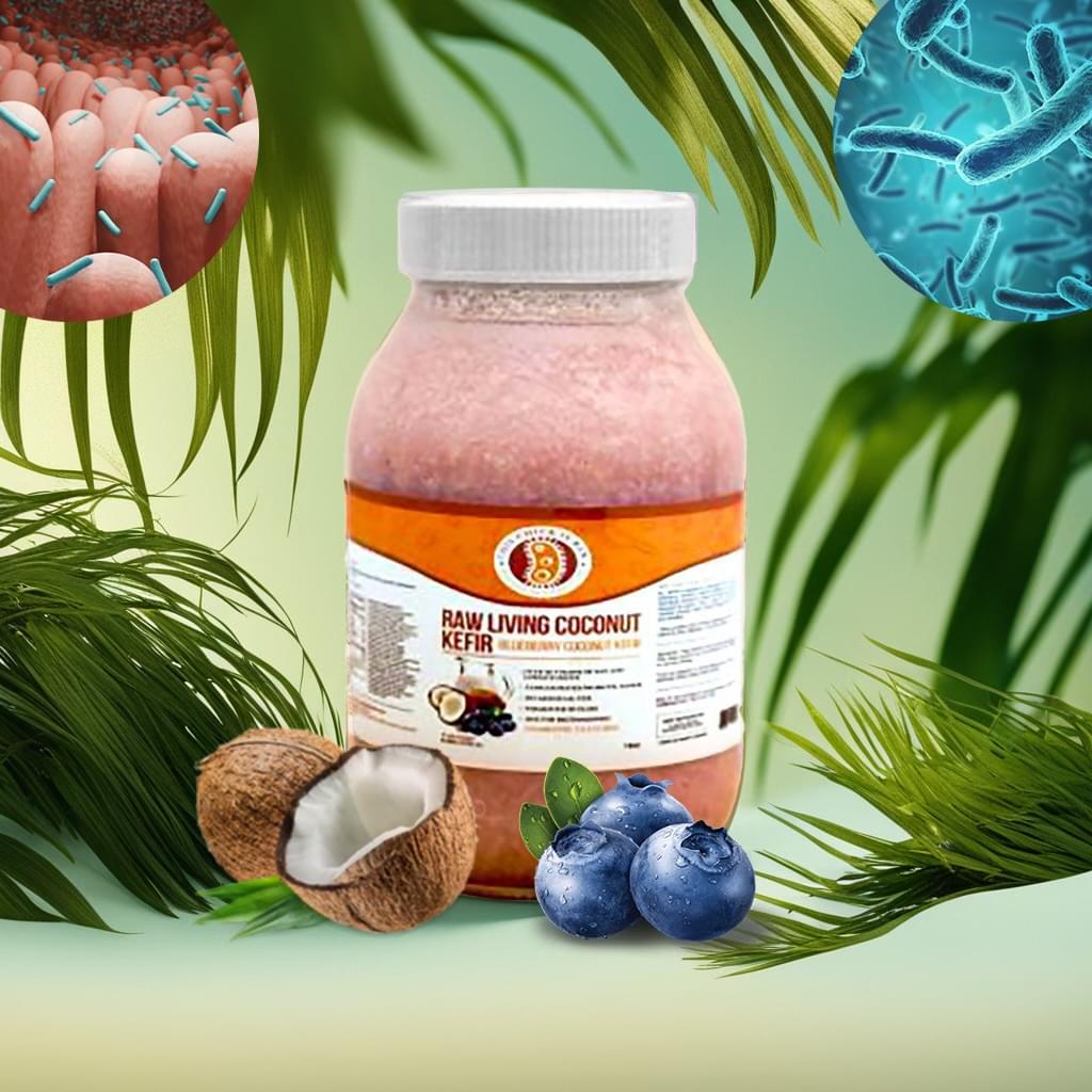 Blueberry Raw Living Coconut Milk Kefir